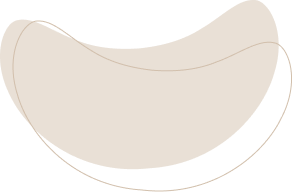 layout-slider2-031.png